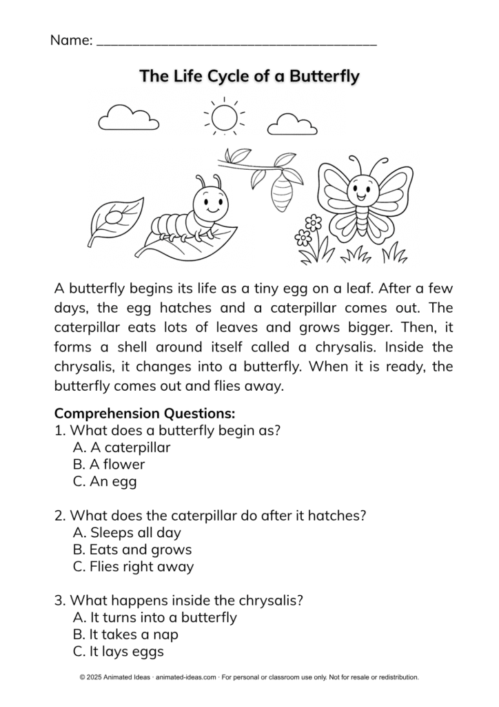 Illustration of butterfly life cycle stages – egg, caterpillar, chrysalis, and butterfly