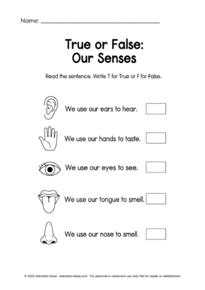 Mini-Quiz (True or False): Review and check understanding.