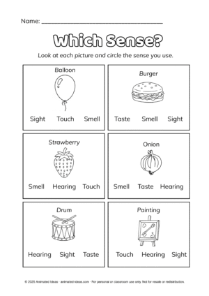 Which Sense? (Circle the Answer): Circle the correct sense for each item.