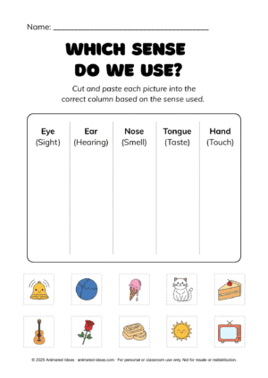 Five Senses Worksheets - Image 4