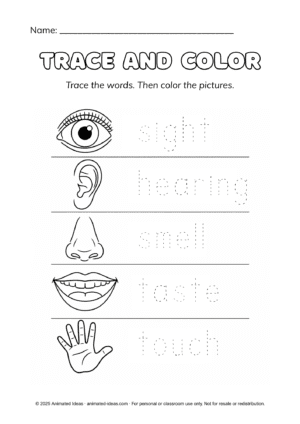 Five Senses Worksheets - Image 3