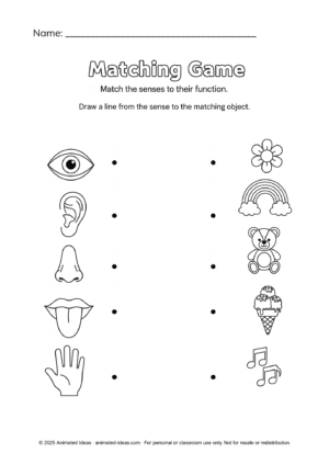 Matching Game: Match senses to their functions.