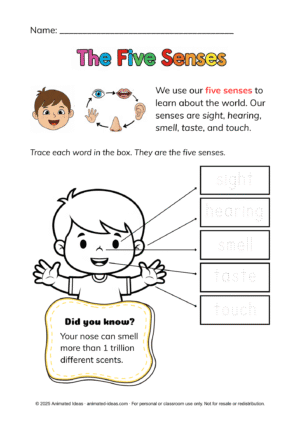 Senses and Their Functions: Introduces children to the five senses.