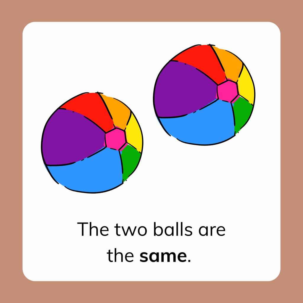 Examples of things that are the same. The two balls are the same. 