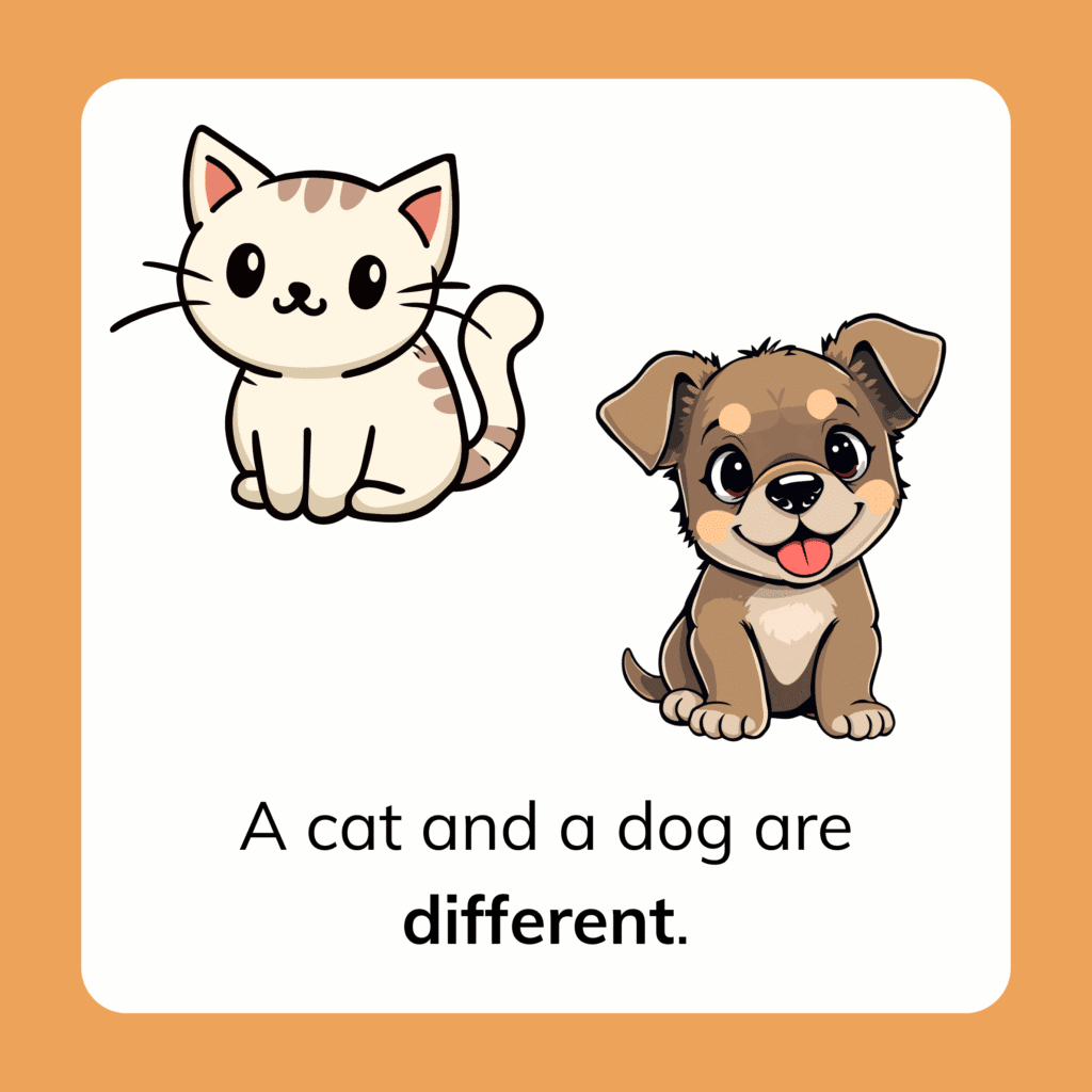 Examples of things that are different: A cat and a dog are different.