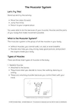 Muscular System Printable Notes for Kids