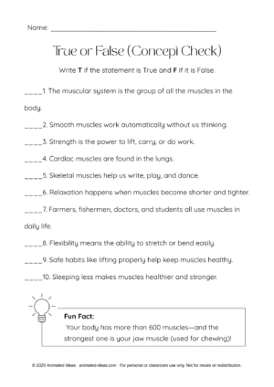Muscular System Worksheet for Grade 4