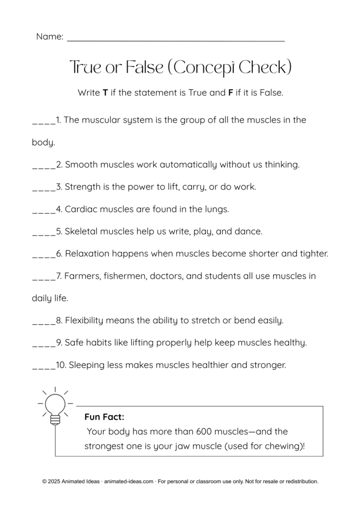 Muscular System Worksheet for Grade 4