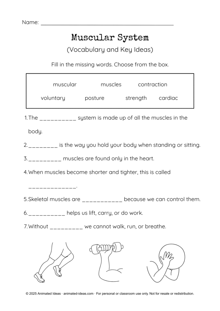 Muscular System Worksheets for Kids - Fill-in-the-blank activity