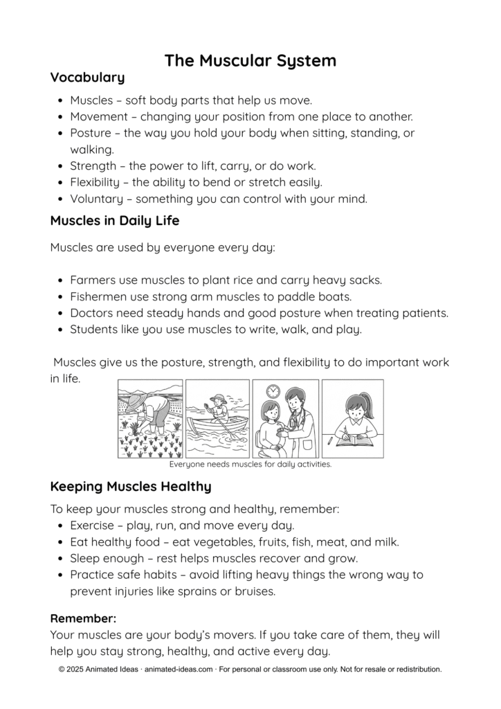Muscular System Printable Notes with healthy habits for Grade 4 students