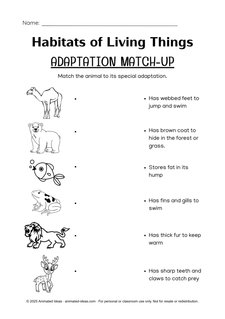 Habitats of Living Things Worksheets page repeating animal adaptation matching activity