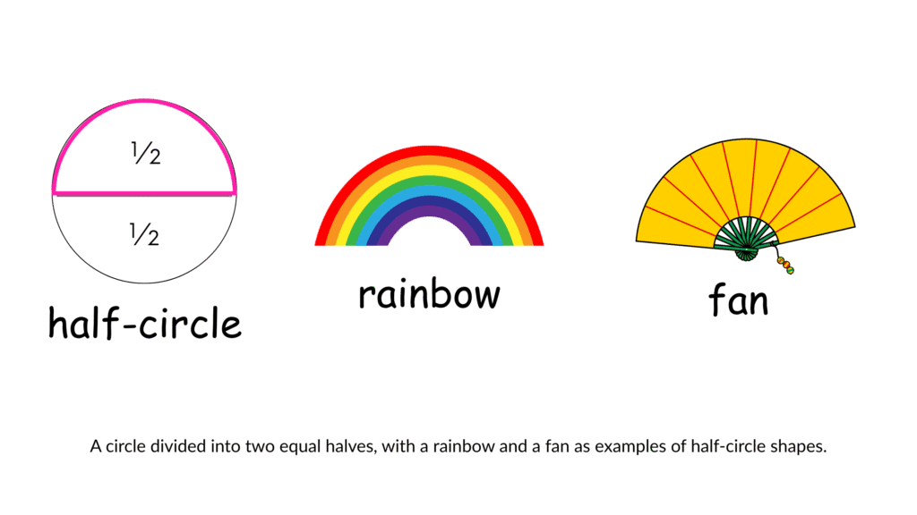 Circle divided into two equal halves, showing a rainbow and a fan as examples of half-circle shapes.
