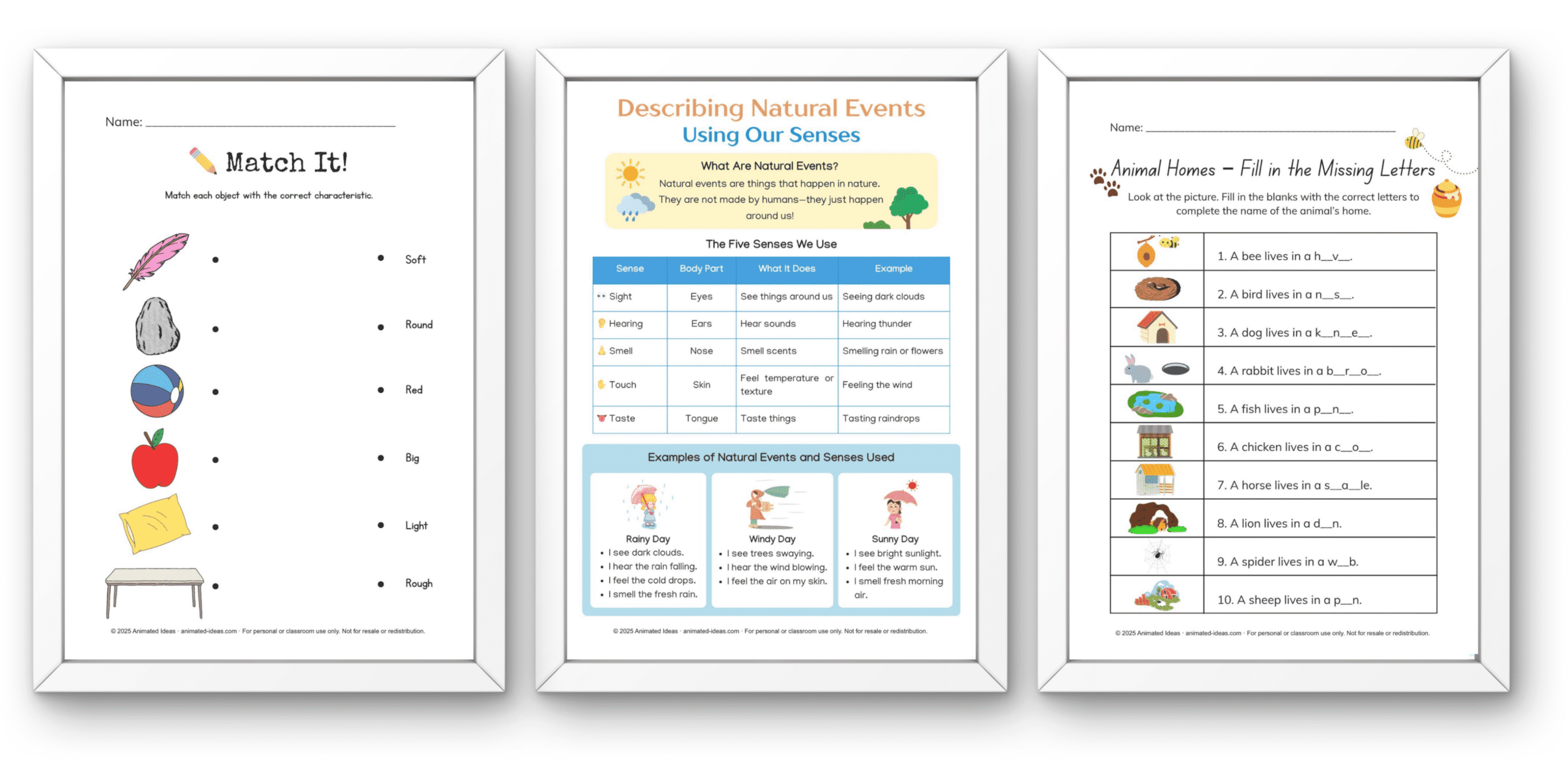 colorful 3rd grade science worksheets for plants animals environment and experiments