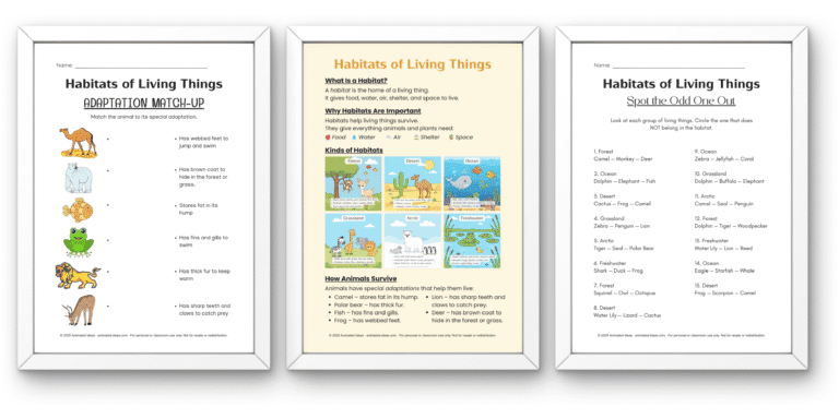 Illustration of different habitats showing a forest, desert, ocean, grassland, arctic, and freshwater areas with animals and plants living in each environment.