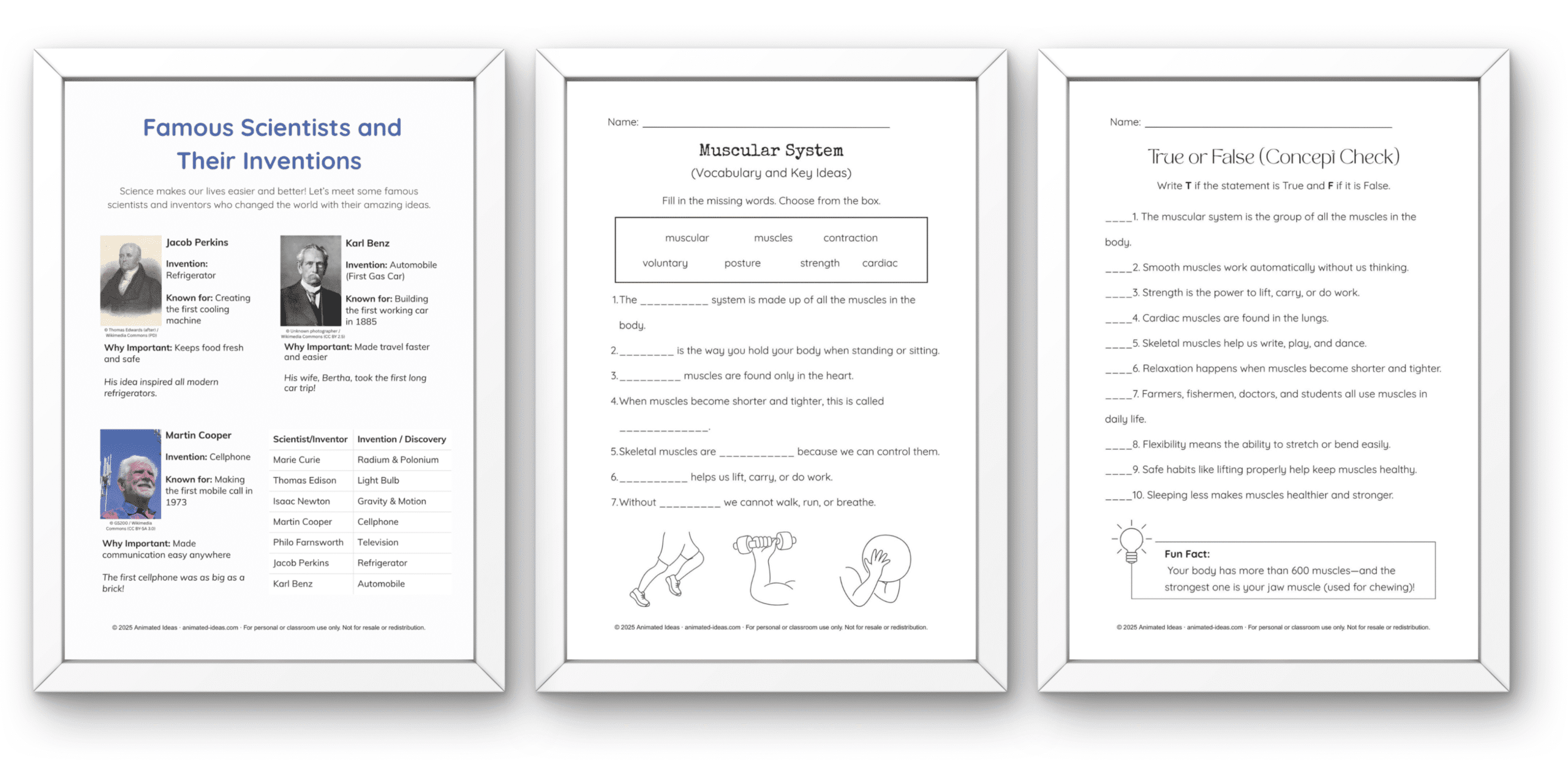 colorful 4th grade science worksheets for plants animals energy and experiments