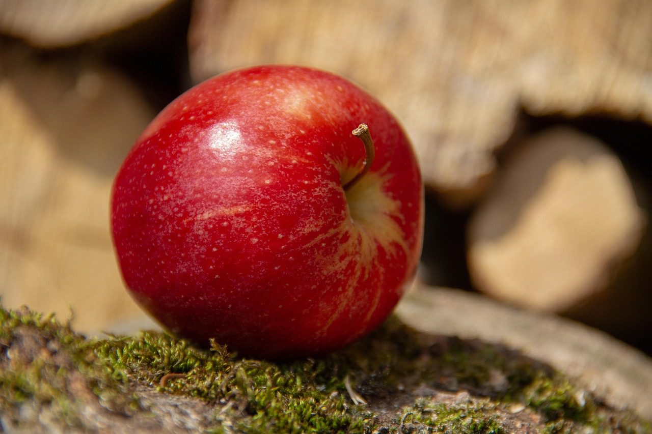 A red, shiny, round apple used to describe the picture using adjectives.